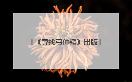 《寻找弓仲韬》出版