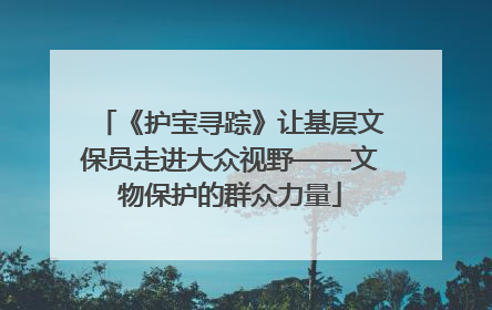《护宝寻踪》让基层文保员走进大众视野——文物保护的群众力量