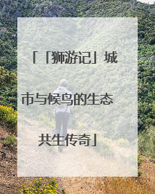 「狮游记」城市与候鸟的生态共生传奇