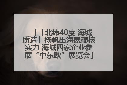 「北纬40度 海城质造」扬帆出海展硬核实力 海城四家企业参展“中东欧”展览会