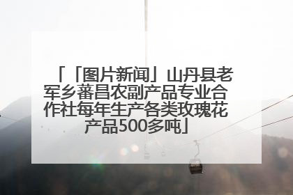 「图片新闻」山丹县老军乡蕃昌农副产品专业合作社每年生产各类玫瑰花产品500多吨