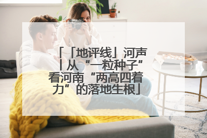 「地评线」河声丨从“一粒种子”看河南“两高四着力”的落地生根