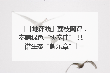 「地评线」荔枝网评：奏响绿色“协奏曲” 共谱生态“新乐章”
