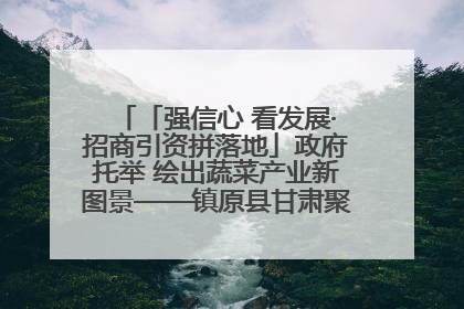 「强信心 看发展·招商引资拼落地」政府托举 绘出蔬菜产业新图景——镇原县甘肃聚广利现代设施蔬菜种植基地见闻