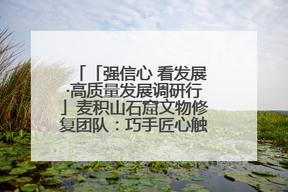 「强信心 看发展·高质量发展调研行」麦积山石窟文物修复团队：巧手匠心触摸“光阴的故事”