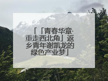 「青春华章·重走西北角」返乡青年谢凯龙的绿色产业梦