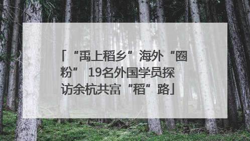 “禹上稻乡”海外“圈粉” 19名外国学员探访余杭共富“稻”路