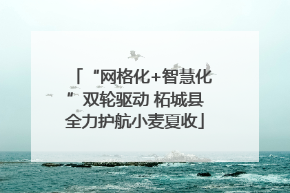 “网格化+智慧化”双轮驱动 柘城县全力护航小麦夏收