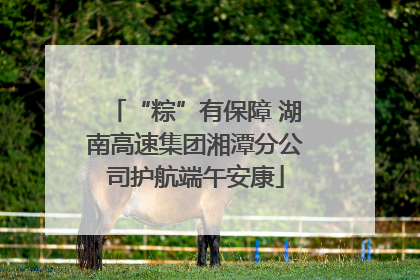 “粽”有保障 湖南高速集团湘潭分公司护航端午安康