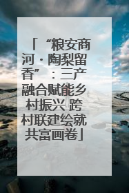 “粮安商河・陶梨留香”：三产融合赋能乡村振兴 跨村联建绘就共富画卷