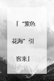 “紫色花海”引客来