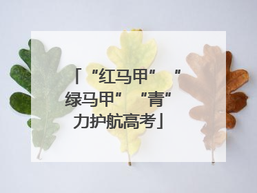 “红马甲”“绿马甲”“青”力护航高考