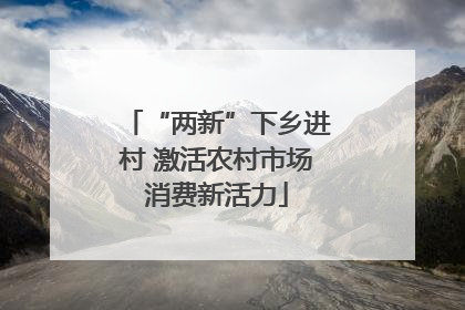 “两新”下乡进村 激活农村市场消费新活力