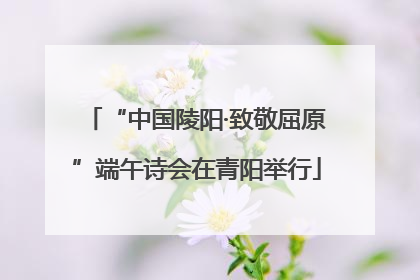 “中国陵阳·致敬屈原”端午诗会在青阳举行