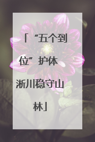 “五个到位”护体 淅川稳守山林