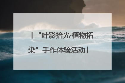 “叶影拾光·植物拓染”手作体验活动