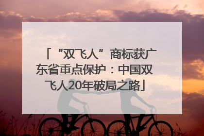 “双飞人”商标获广东省重点保护：中国双飞人20年破局之路