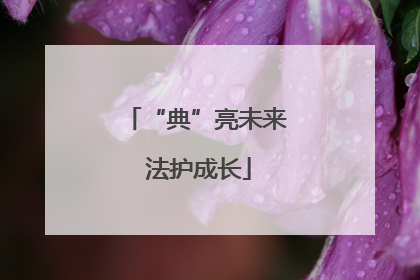 “典”亮未来 法护成长
