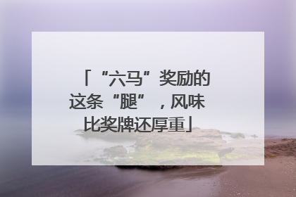 “六马”奖励的这条“腿”，风味比奖牌还厚重