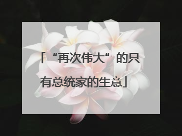 “再次伟大”的只有总统家的生意