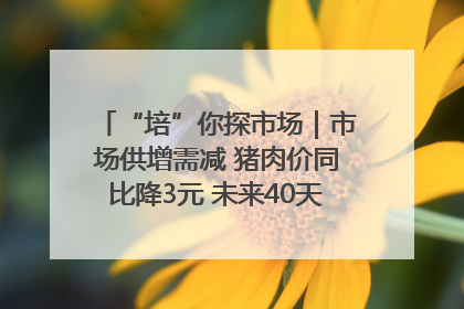 “培”你探市场｜市场供增需减 猪肉价同比降3元 未来40天便宜猪肉敞开吃