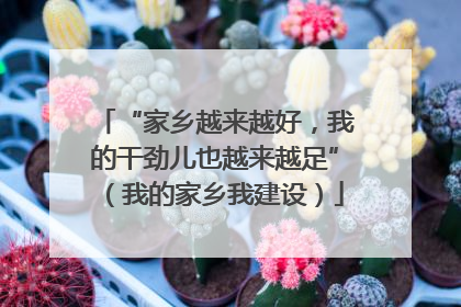 “家乡越来越好，我的干劲儿也越来越足”（我的家乡我建设）