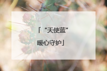 “天使蓝” 暖心守护
