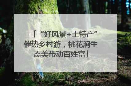 “好风景+土特产”催热乡村游，桃花涧生态美带动百姓富