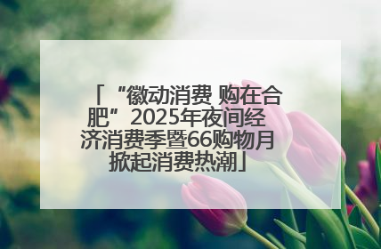 “徽动消费 购在合肥”2025年夜间经济消费季暨66购物月掀起消费热潮