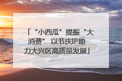 “小西瓜”提振“大消费” 以节庆IP助力大兴区高质量发展