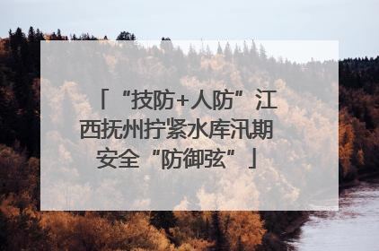 “技防+人防”江西抚州拧紧水库汛期安全“防御弦”