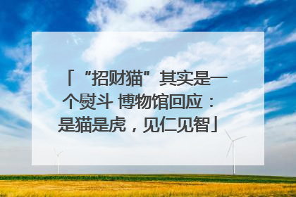 “招财猫”其实是一个熨斗 博物馆回应：是猫是虎，见仁见智