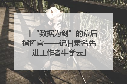 “数据为剑”的幕后指挥官——记甘肃省先进工作者牛学云
