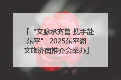 “文脉承齐鲁 携手赴东平” 2025东平湖文旅济南推介会举办