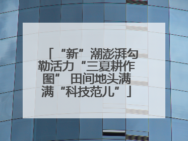 “新”潮澎湃勾勒活力“三夏耕作图” 田间地头满满“科技范儿”