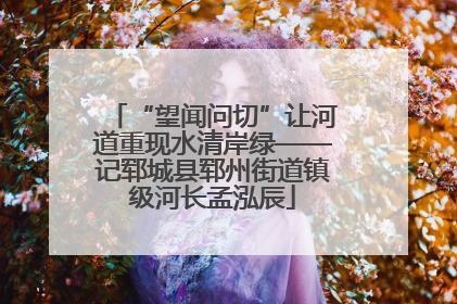 “望闻问切”让河道重现水清岸绿——记郓城县郓州街道镇级河长孟泓辰