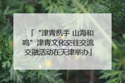 “津青携手 山海和鸣”津青文化交往交流交融活动在天津举办