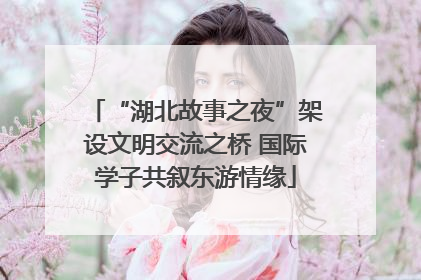 “湖北故事之夜”架设文明交流之桥 国际学子共叙东游情缘