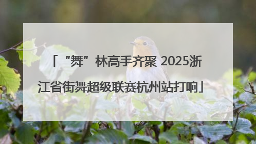“舞”林高手齐聚 2025浙江省街舞超级联赛杭州站打响
