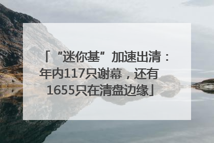 “迷你基”加速出清：年内117只谢幕，还有1655只在清盘边缘