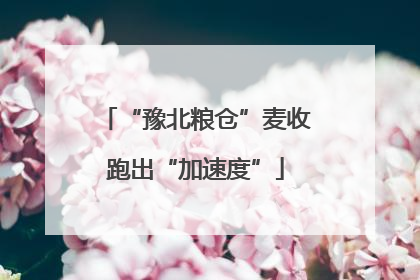“豫北粮仓”麦收跑出“加速度”