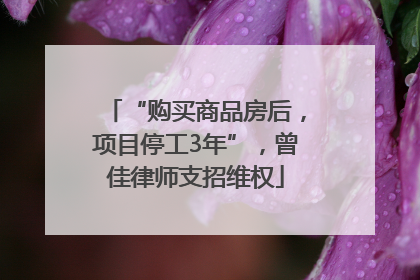 “购买商品房后，项目停工3年”，曾佳律师支招维权