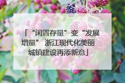 “闲置存量”变“发展增量” 浙江现代化美丽城镇建设再添新意