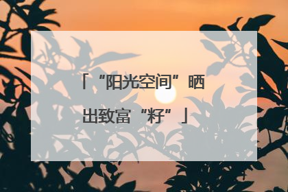 “阳光空间”晒出致富“籽”