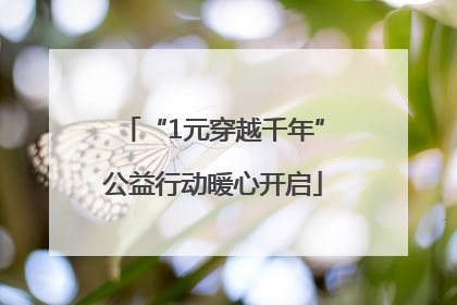 “1元穿越千年”公益行动暖心开启