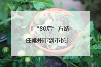 “80后”方靖任常州市副市长