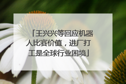 王兴兴等回应机器人比赛价值，进厂打工是全球行业困境