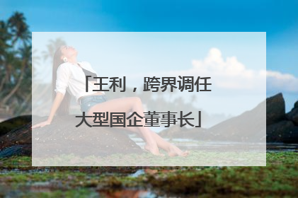 王利，跨界调任大型国企董事长