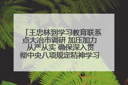 王忠林到学习教育联系点大冶市调研 加压加力 从严从实 确保深入贯彻中央八项规定精神学习教育取得实效