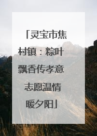 灵宝市焦村镇：粽叶飘香传孝意 志愿温情暖夕阳